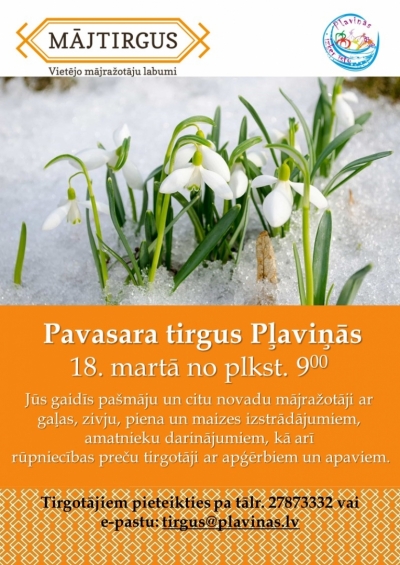 pļāviņās sniegpulkstenīši