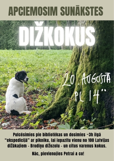 Ekspedīcija ar pikniku “Apciemosim Sunākstes dižkokus”