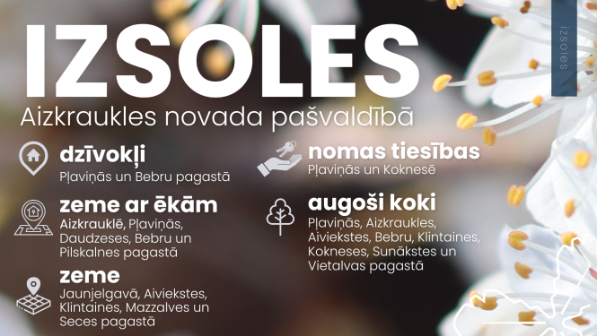 Izsoles Aizkraukles novada pašvaldībā