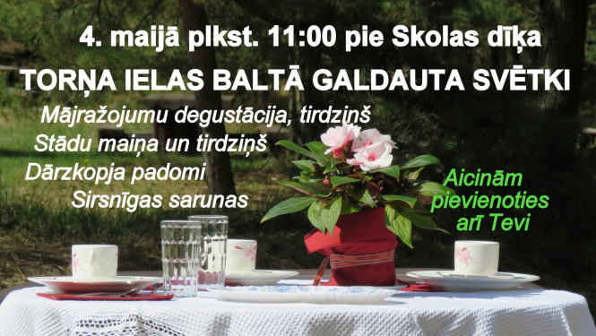 Baltais galdauts