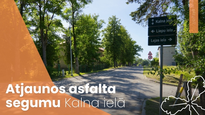 iela, fonā koki, norade par ielām