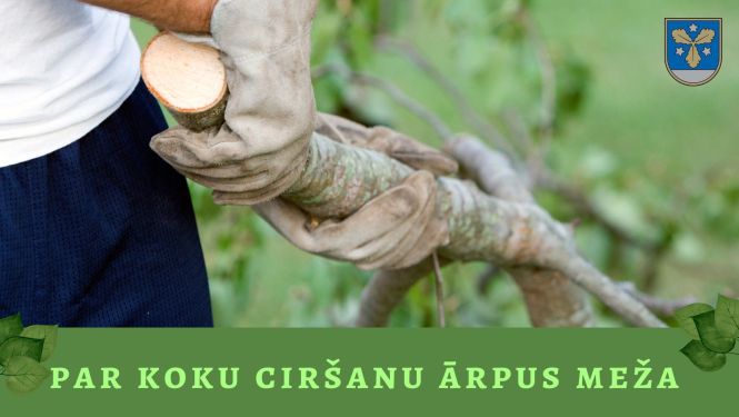 koku ciršana