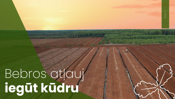 Bebros atļauj iegūt kūdru