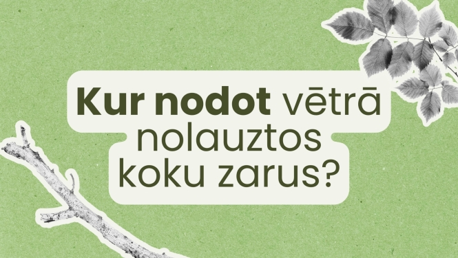 baneris par to, kur nodot koku zarus