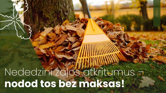 grābeklis un sabirušas lapas