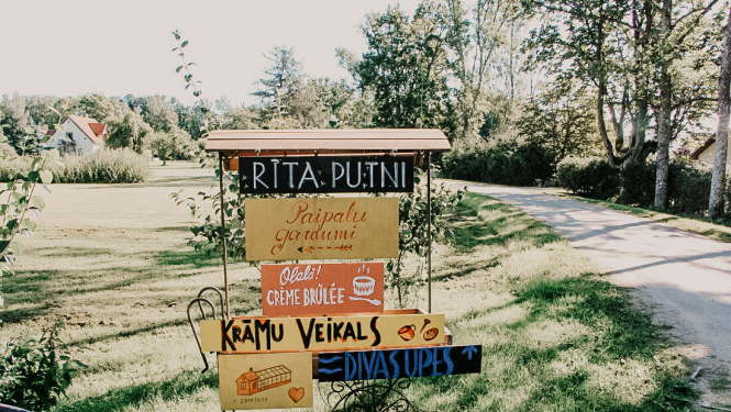 rīta putni
