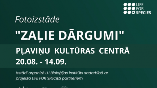 Izstāde