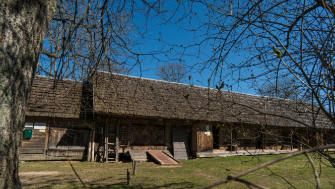 riekstiņi
