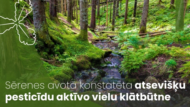 mežs caur kuru tek upe