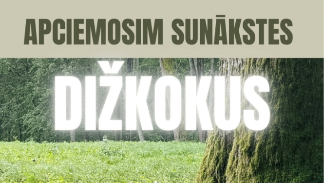 Ekspedīcija ar pikniku “Apciemosim Sunākstes dižkokus”