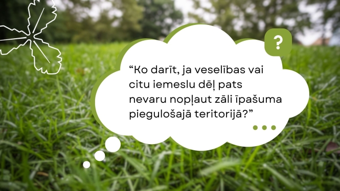 zaļa zāle