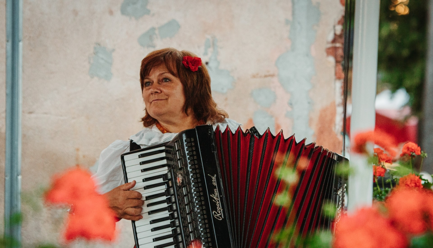 spēle akerdeonu