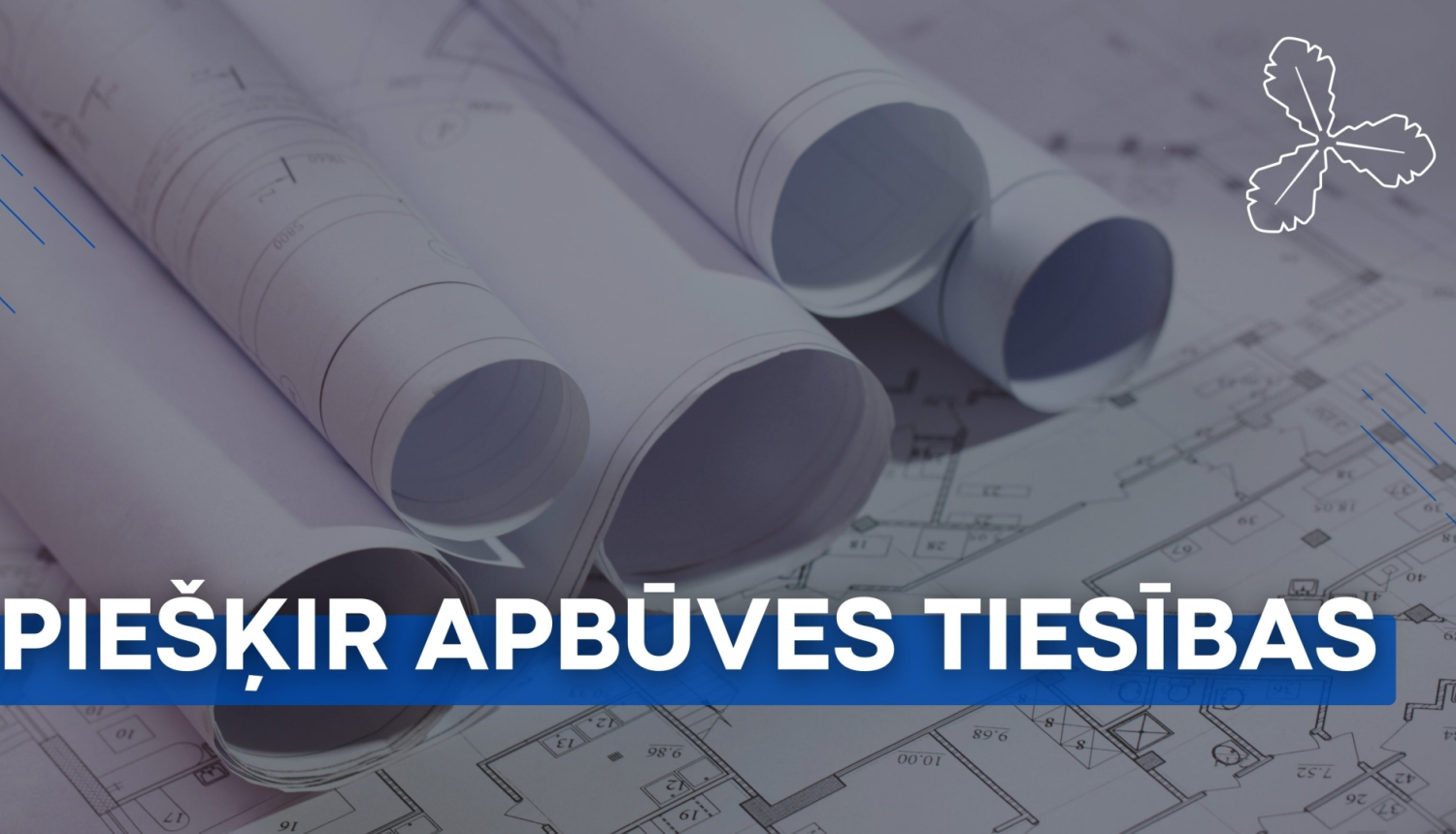 piešķir apbūves tiesības