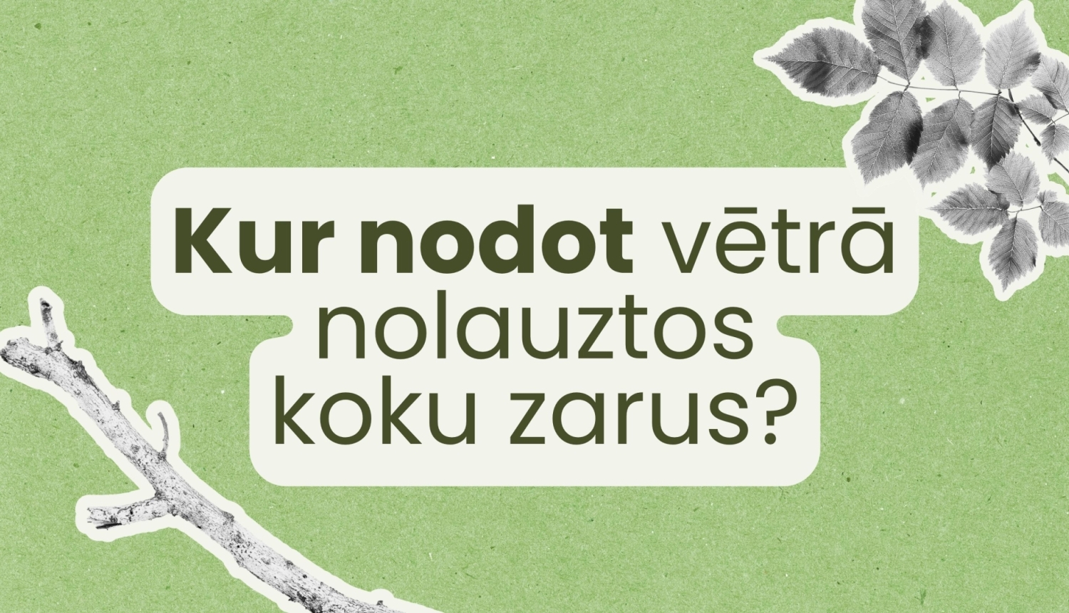 baneris par to, kur nodot koku zarus