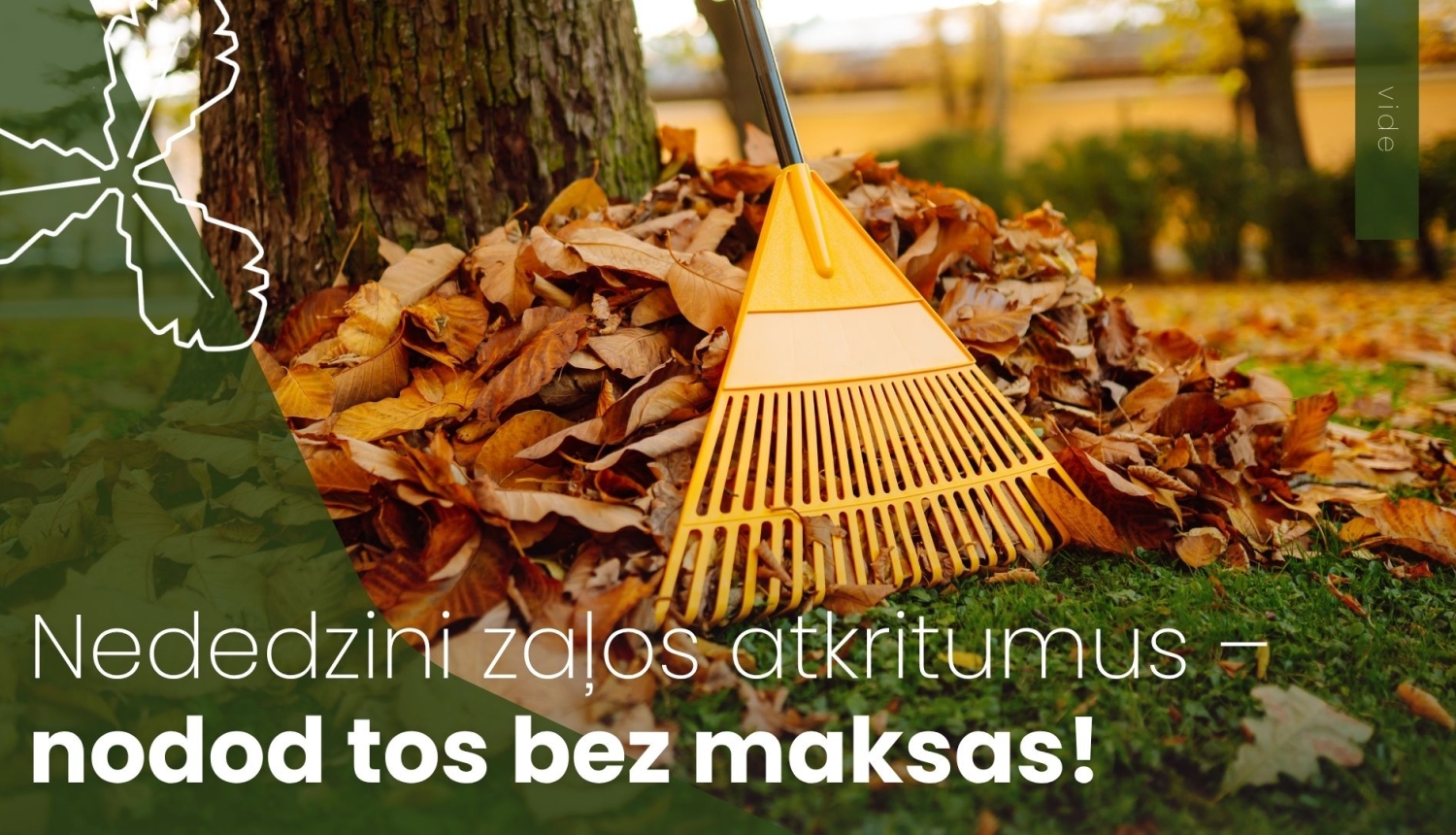 grābeklis un sabirušas lapas