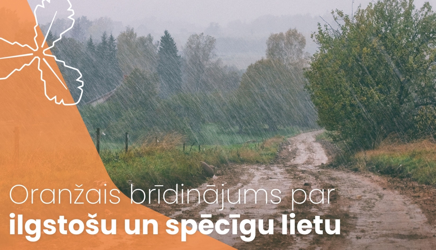 spēcīgas lietusgāzes, vējā noliekušies koki