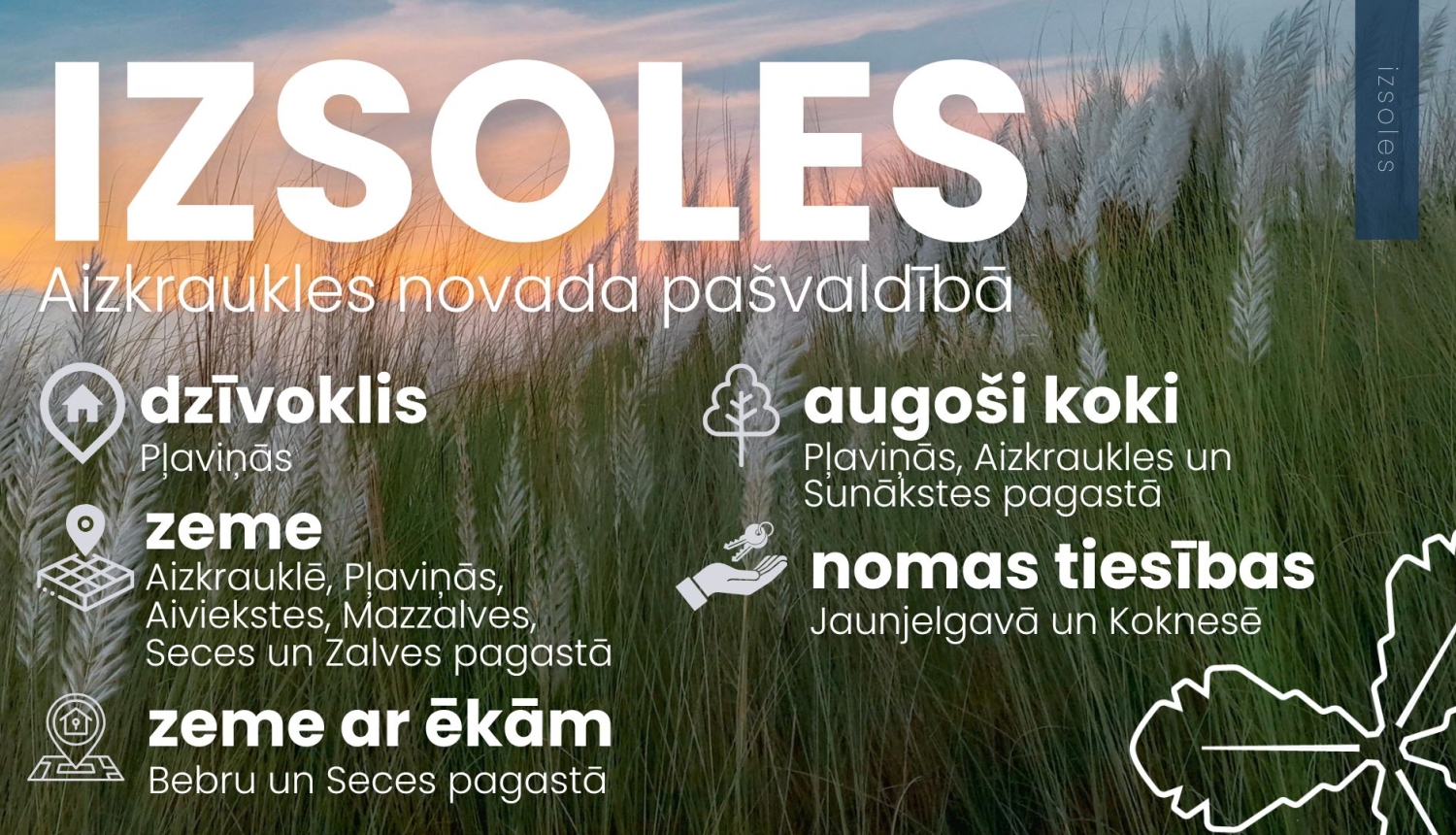 izsolēs pārdod īpašumus
