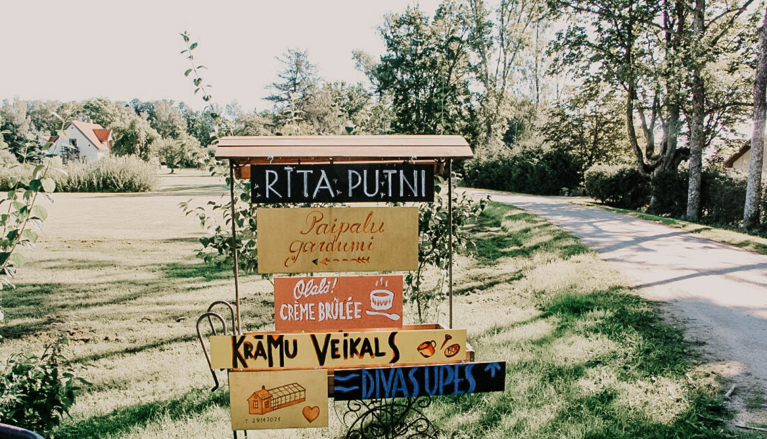 rīta putni