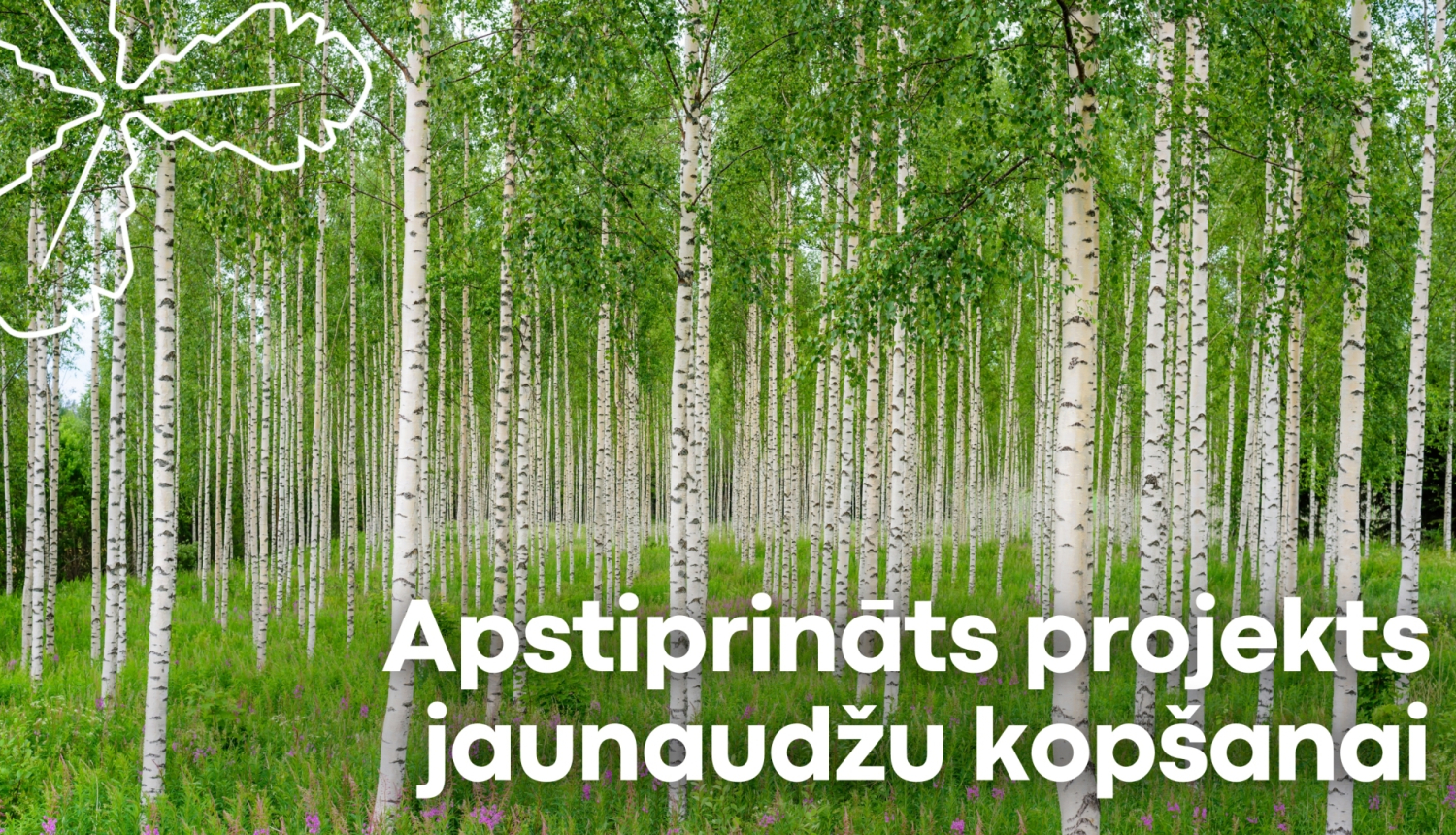 jaunaudzes kopšana