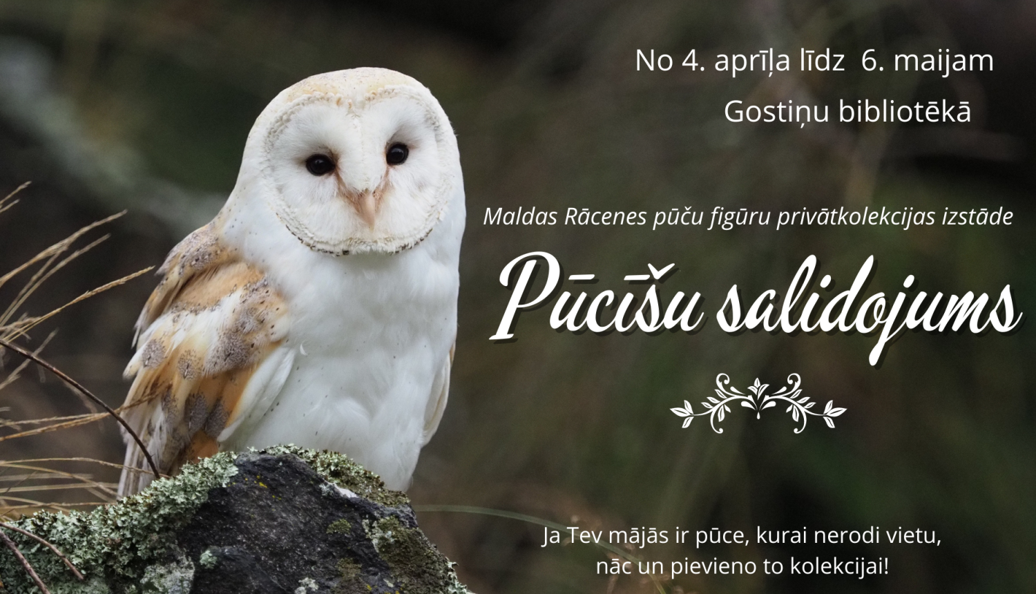 Pūču izstādes afiša