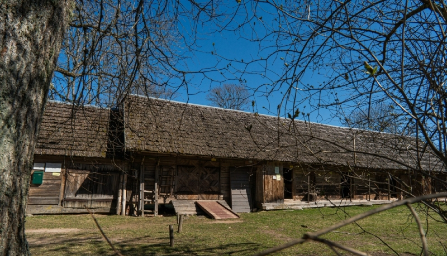riekstiņi