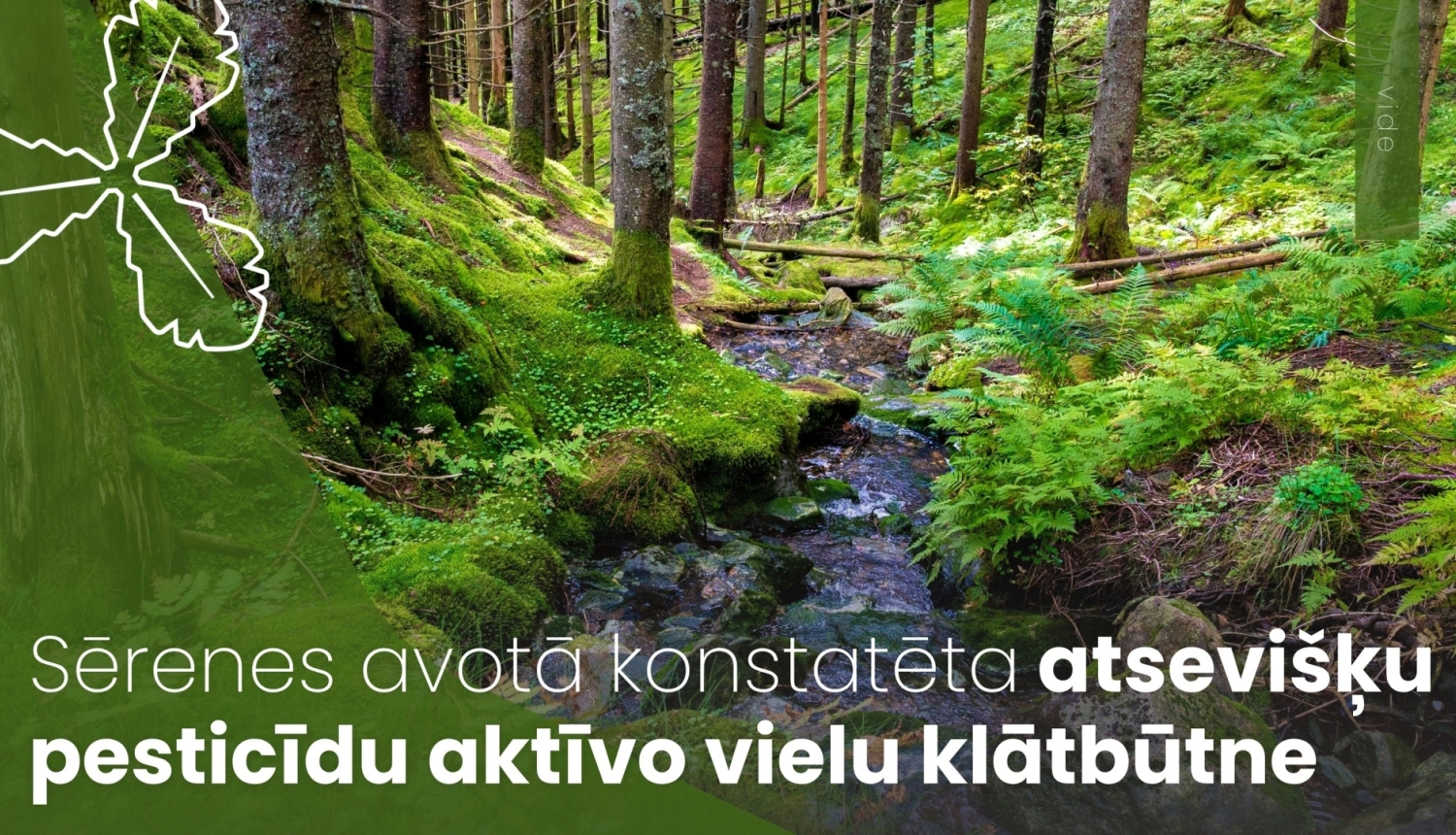 mežs caur kuru tek upe