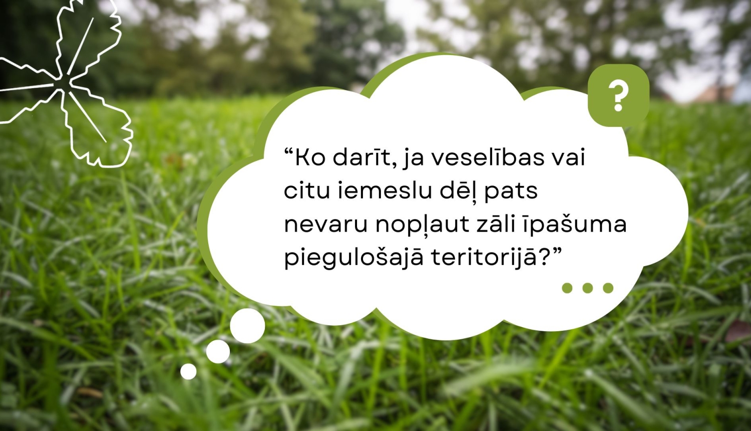 zaļa zāle