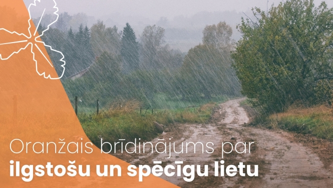 spēcīgas lietusgāzes, vējā noliekušies koki