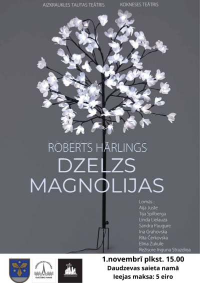 Teātra izrāde "Dzelzs magnolijas"