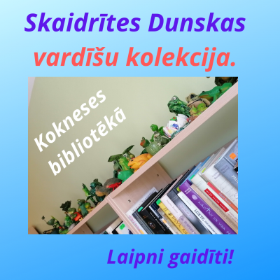 Vardīšu kolekcija afiša