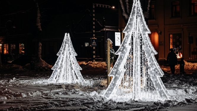 eglītes Jaunjelgavā