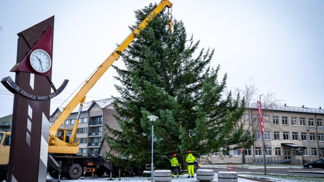 tiek uzstādīta ziemassvētku egle