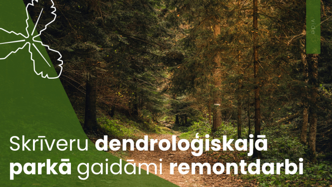 Skrīveru dendroloģiskajā parkā gaidāmi remontdarbi
