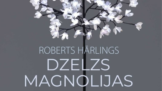 Teātra izrāde "Dzelzs magnolijas"