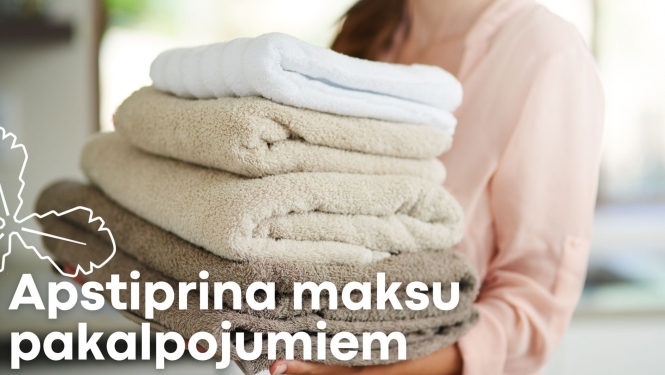 apstiprina maksu pakalpojumiem