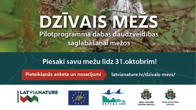 dzīvais mežs - baneris ar pūci