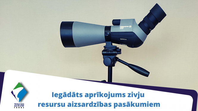 binoklis