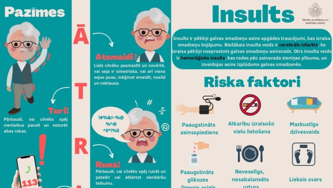 infografika inslts