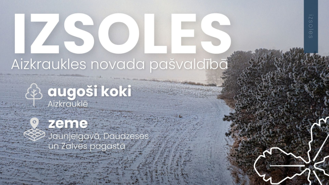 Izsoles Aizkraukles novada pašvaldībā