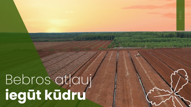 Bebros atļauj iegūt kūdru