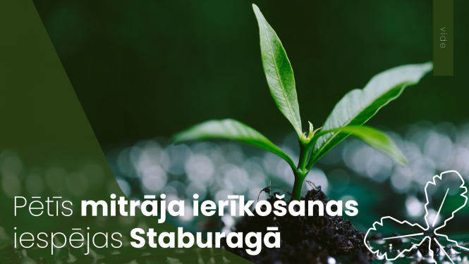 Pētīs mitrāja ierīkošanas iespējas Staburagā