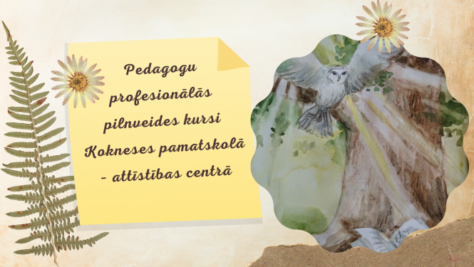 Pedagogu profesionālās pilnveides kursi Kokneses pamatskolā – attīstības centrā