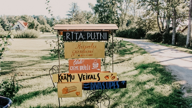 rīta putni