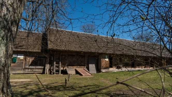 riekstiņi