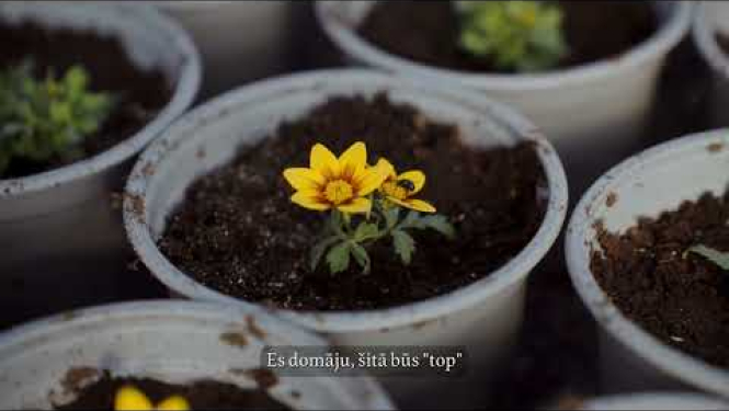 Aizkraukles novada gada balva uzņēmējdarbībā 2025: “Saimnieks laukos” – Dzintars Kazakevičs