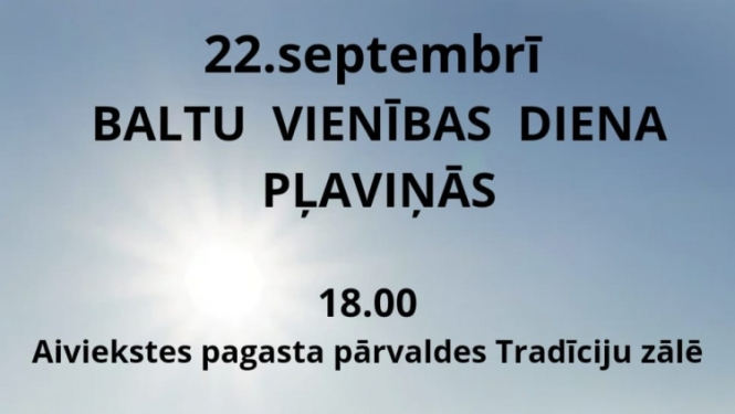 Baltu vienības dienas afiša