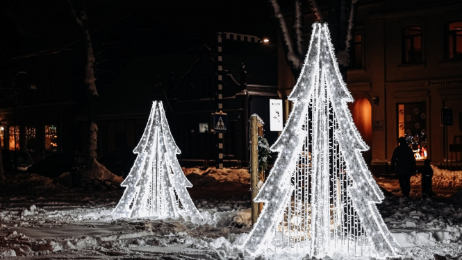 eglītes Jaunjelgavā