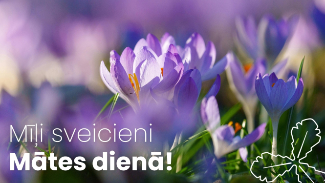 violeti ziedi ar zaļām lapās