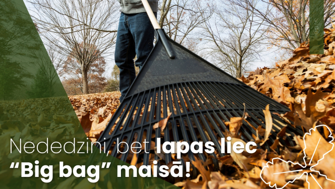 Nededzini, bet lapas liec “Big bag” maisā!