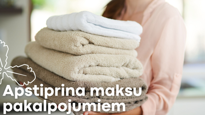 apstiprina maksu pakalpojumiem